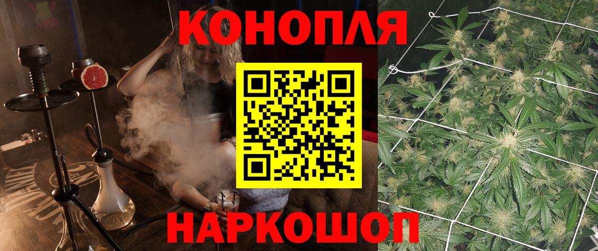 Бошки Шишки конопля Сертолово